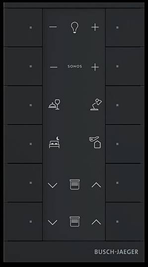 Busch-Jaeger 2CKA006220A0899-0