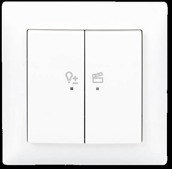 Busch-Jaeger 2CKA006200A0293-1