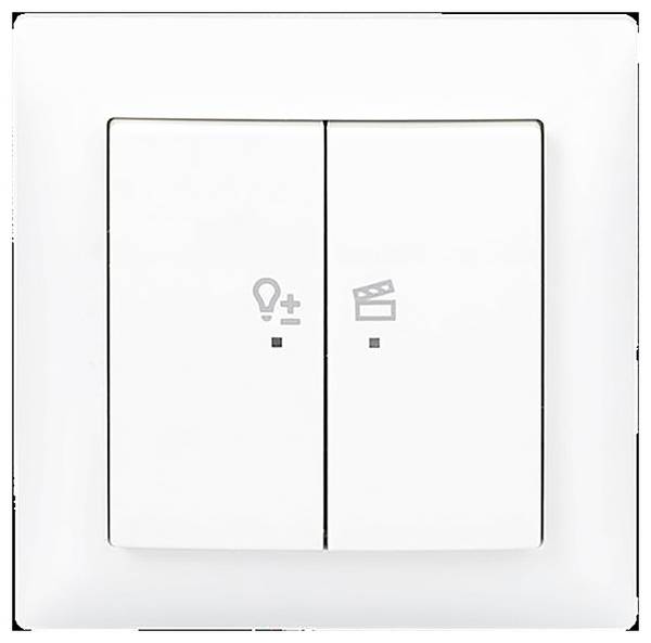 Busch-Jaeger       2CKA006200A0293