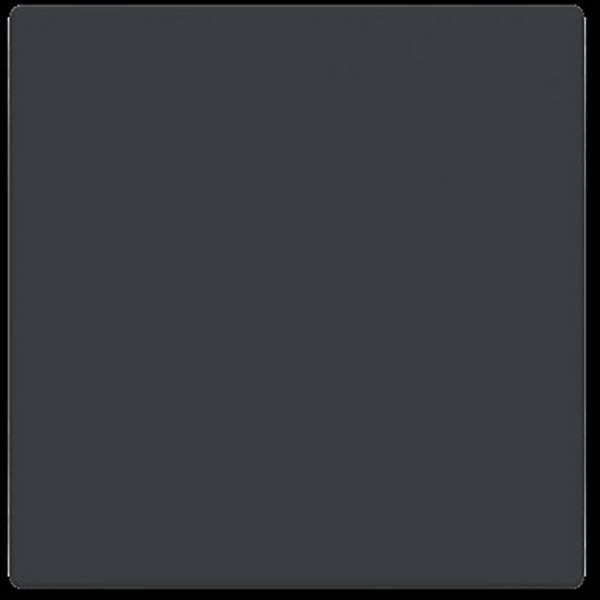 Busch-Jaeger  kryt   Future Linear  2CKA006199A0042