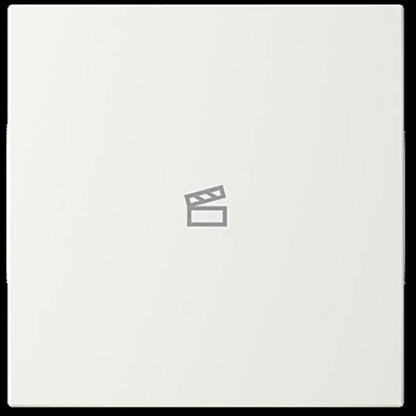 Busch-Jaeger       2CKA006199A0169