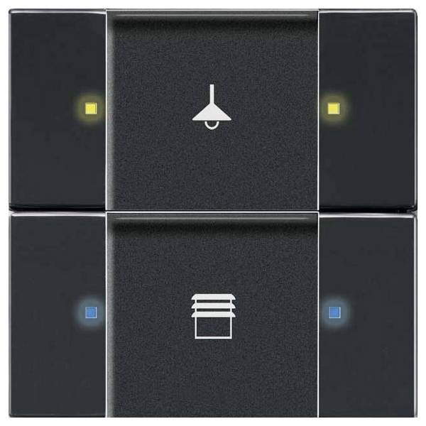 Busch-Jaeger KNX 2CKA006116A0217 ovládacie prístroj    6126/02-885-500