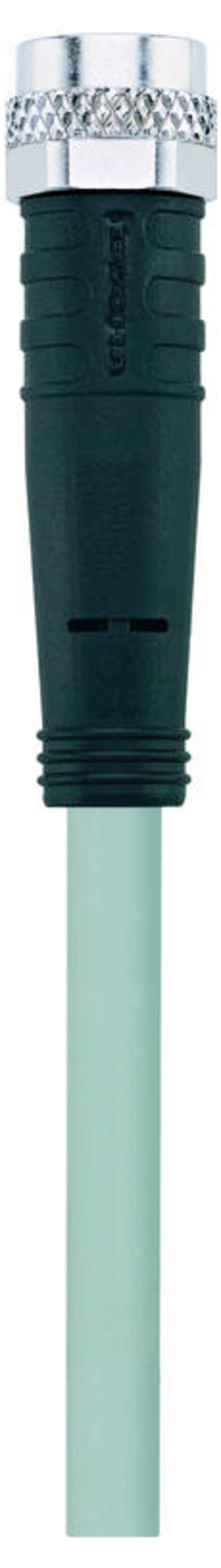 Escha AL-SKP3-5/P00 pripojovací kábel pre senzory - aktory, 8048640, piny: 3, 5.0 m, 1 ks