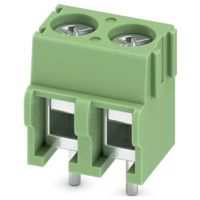 Zelený dvoj-kolíkový elektrický svorkovnicový blok so skrutkovými spojmi, používaný na upevňovanie drôtov v elektronických zariadeniach alebo na plošných spojoch.