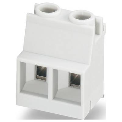 Biely elektrický svorkovací blok s dvoma spojovacími slotmi a kovovými kontaktmi, používaný na upevňovanie a pripojenie elektrických vodičov.