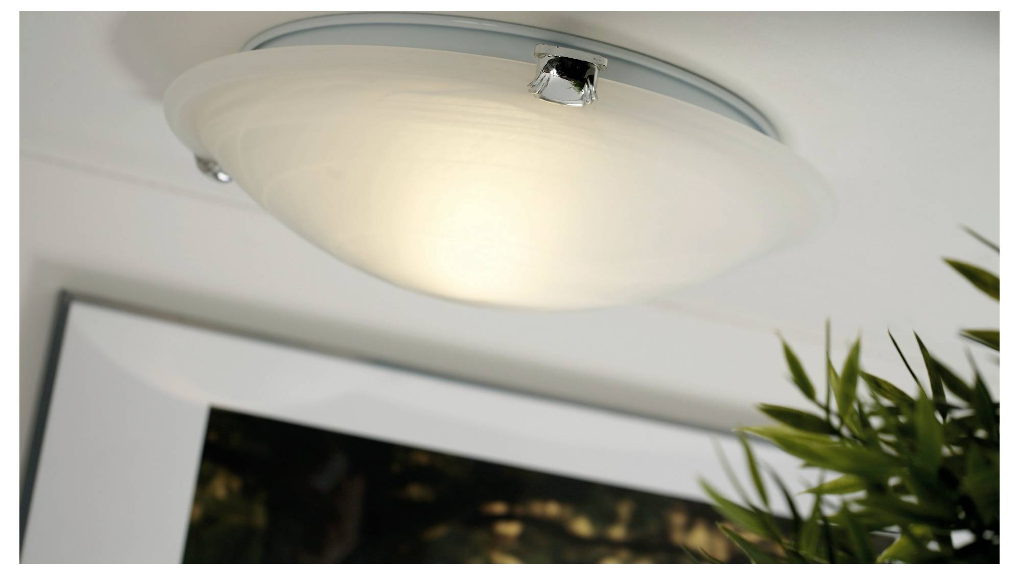 Stropne upevnené kupolové svetlo svietiace, s časťou zarámovaného obrázku a zelenou rastlinou viditeľnými nižšie.