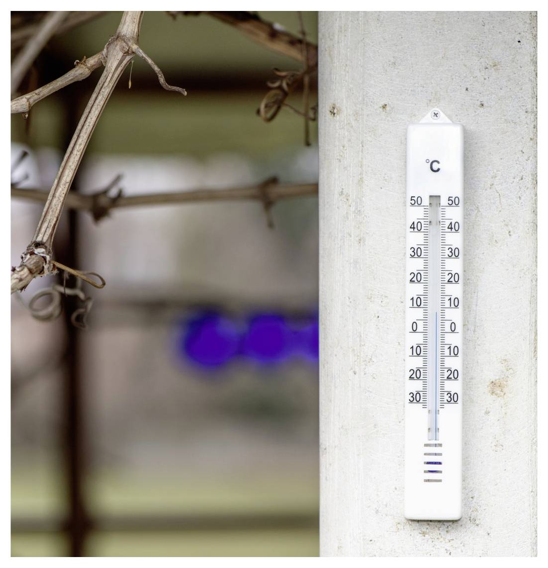 Vonkajší teplomer umiestnený na stĺpe ukazuje približne 15°C, s rozmazanými vetvami a plotom v pozadí.