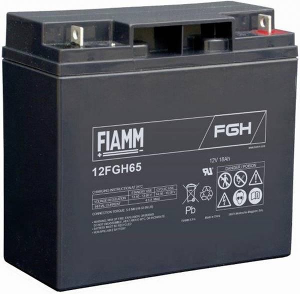 Fiamm 12FGH65 112937 olovený akumulátor 12 V 18000 olovený so skleneným rúnom (š x v x h) 76 x 167 x 181 mm skrutkované M5 