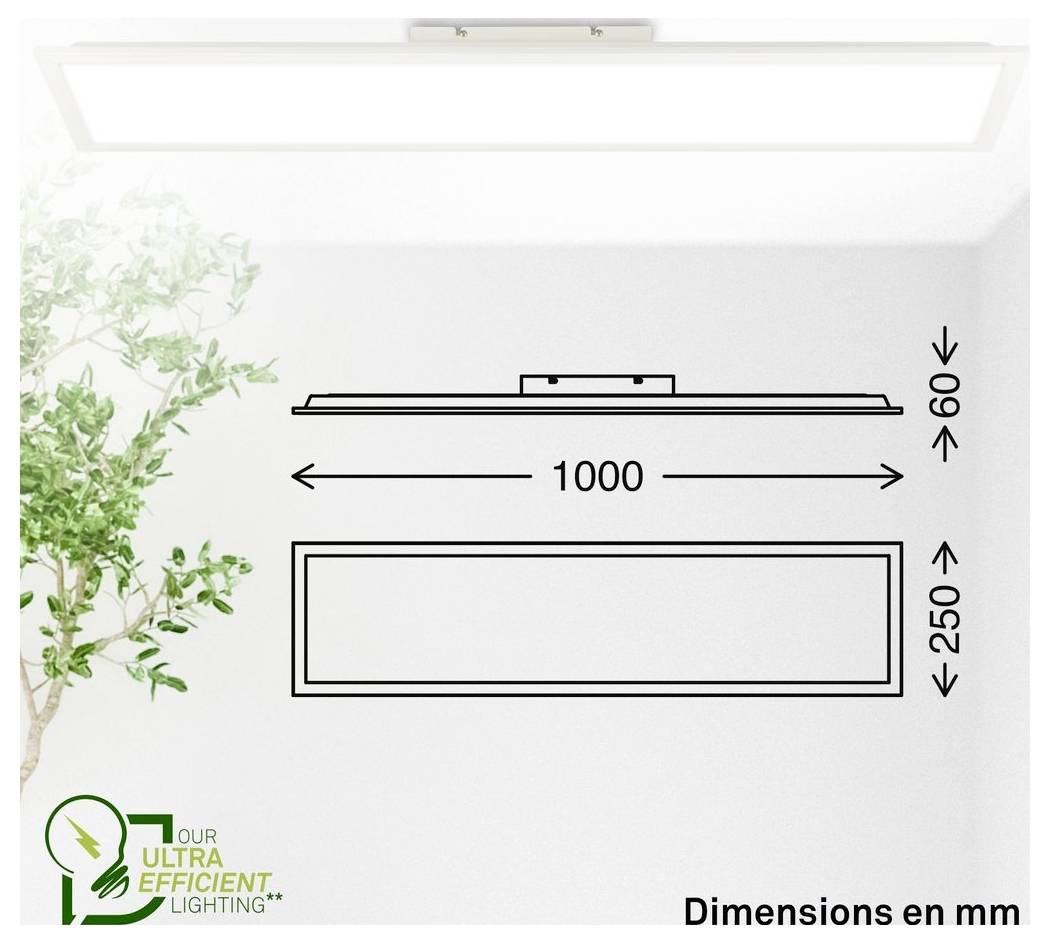 Diagram obdĺžnikového stropného svietidla so rozmermi v mm: 1000 mm široké, 250 mm hlboké a 60 mm vysoké.