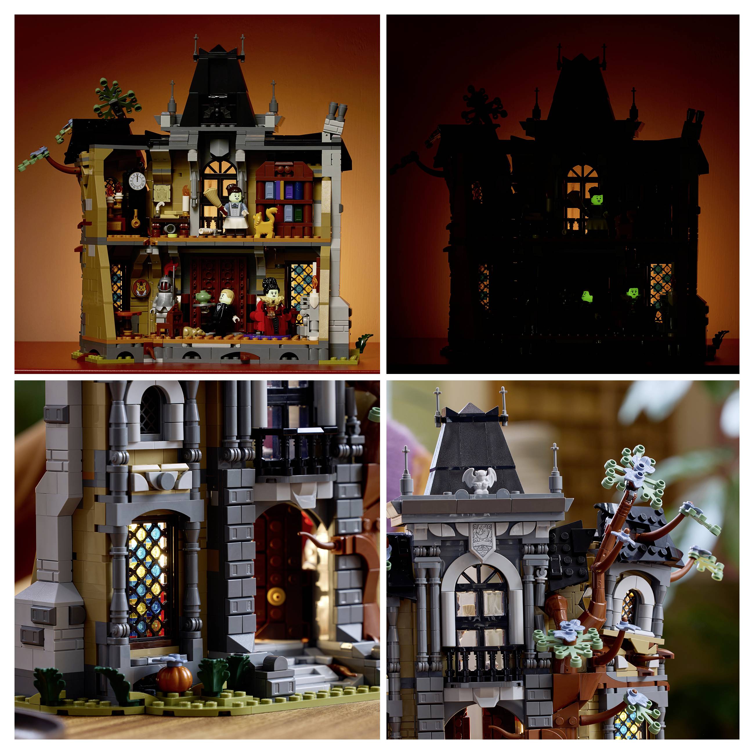 6588535 LEGO® ICONS™-13