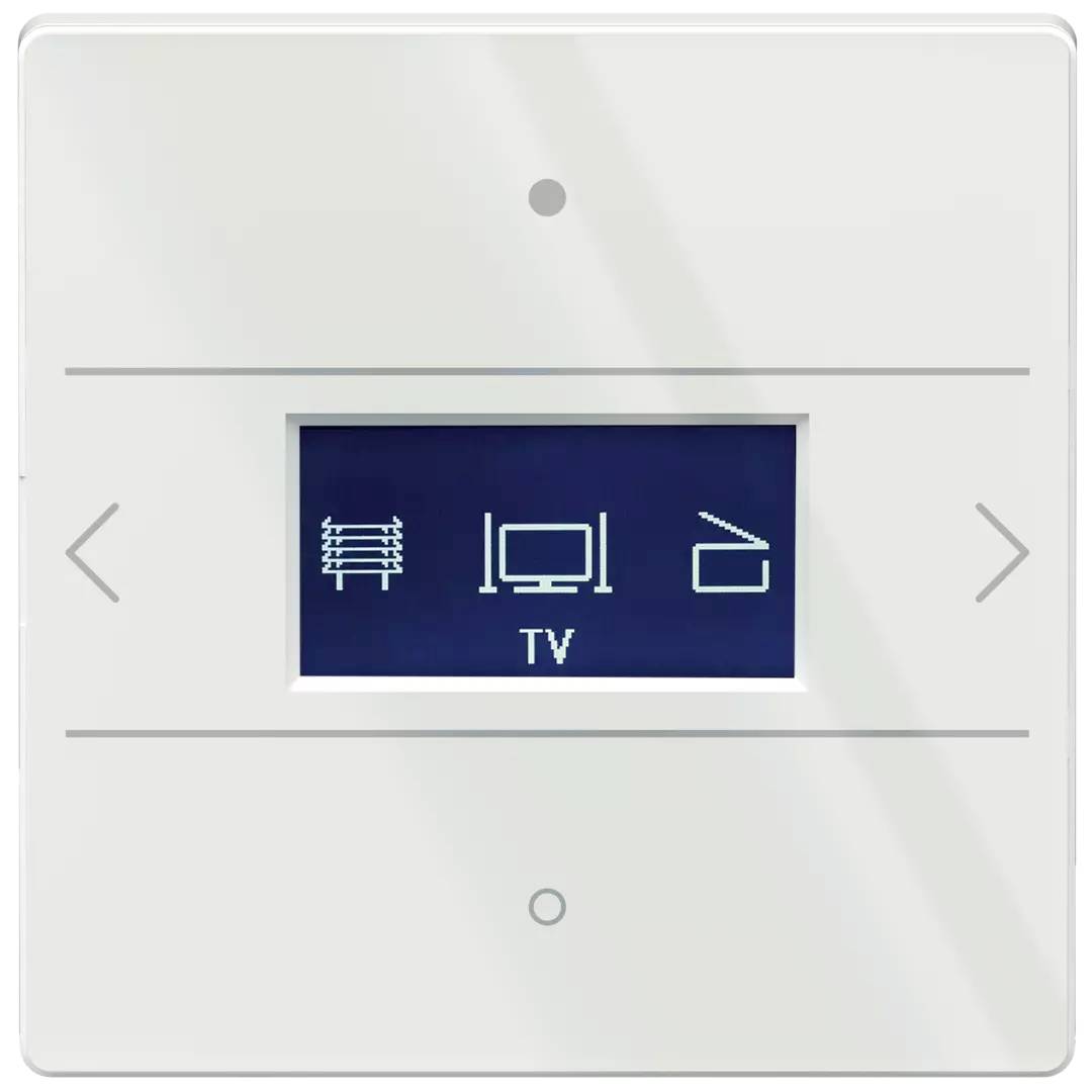 Theben LUXORliving iON8 G WH izbový regulátor pod omietku, 4803418, 1 ks