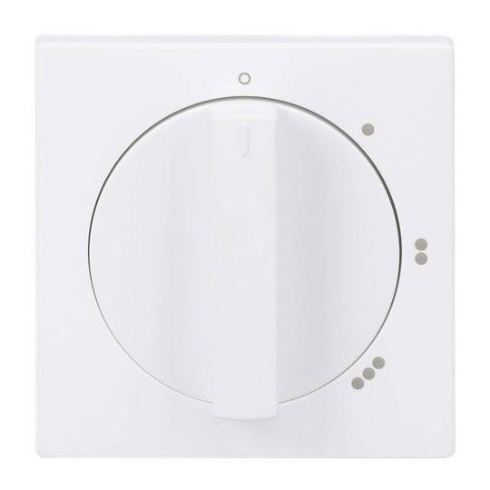 Busch-Jaeger 2CKA001710A3890