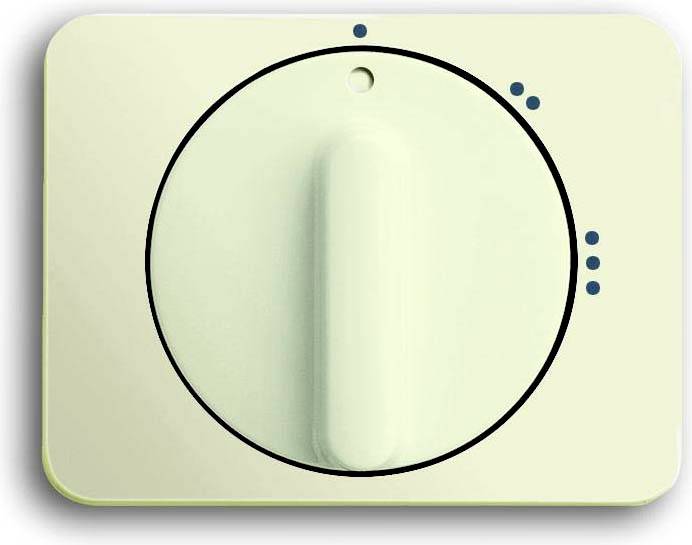 Busch-Jaeger 2CKA001710A3426