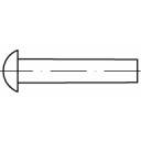 TOOLCRAFT 112248 Halvrund nitte (Ø x L) 10 mm x 60 mm Stål 100 stk