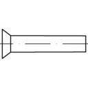 TOOLCRAFT 112321 Sænknitte (Ø x L) 6 mm x 45 mm Stål 250 stk