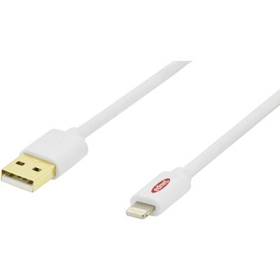 ednet Apple iPad / iPhone / iPod prepojovací kábel [1x USB 2.0 zástrčka A - 1x dokovacia zástrčka Apple Lightning] 3.00 
