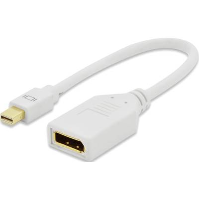 ednet 84508 DisplayPort adaptér [1x mini DisplayPort zástrčka - 1x zásuvka DisplayPort] biela pozlátené kontakty 15.00 c