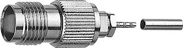Telegärtner 100023768 100023768 TNC konektor zásuvka, rovná 50 Ω 1 ks