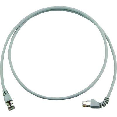 Modrý ethernetový kábel s dvomi RJ45 konektormi, ktorý sa používa na sieťové pripojenie.