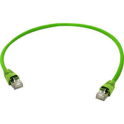 Zelený ethernetový kábel s dvoma RJ45 konektormi na koncoch.