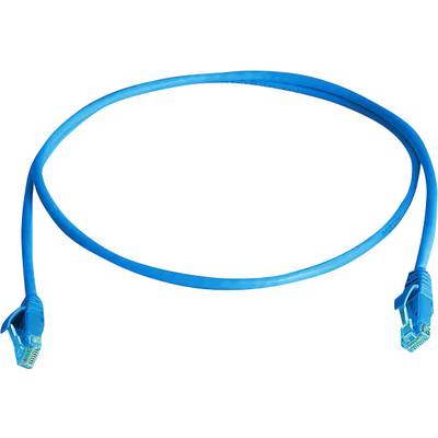 Modrý sieťový kábel s dvoma RJ45 konektormi, používaný na prepojenie počítačov do siete alebo smerovača.