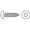 TOOLCRAFT 145133 šošovkové skrutky do plechu 3.5 mm 13 mm T profil DIN 7981 ocel glavanizované zinkom 1000 ks