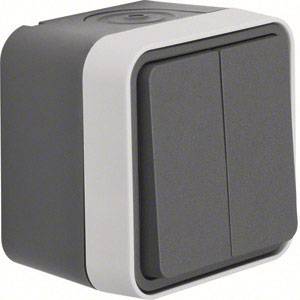Berker 50753515 W.1 (opbouw) Serietoets spatwaterdicht Grijs, Lichtgrijs 1 stuk(s)