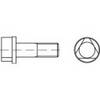 TOOLCRAFT 147119 trojhranná skrutka M10 30 mm trojhran DIN 22424 ocel 100 ks