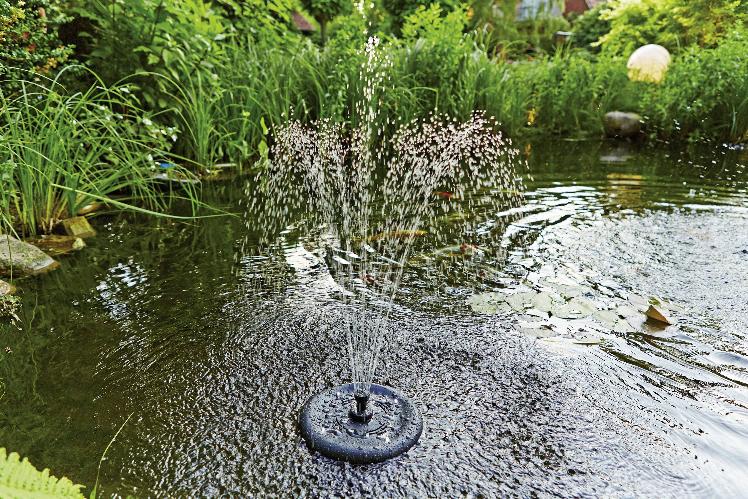 Fontána strieká vodné prúdy do jazierka, obklopená hustou, zelenou vegetáciou. Reflexie vytvárajú trblietavé vzory.