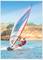 Osoba jazdí na windsurfingovej doske po vode, s farebnou plachtou a malebným, zalesnením porastlým pobrežím v pozadí.