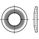 Låsekantskiver 8 mm 16.2 mm Fjederstål verzinkt 250 stk Alstertaler Schrauben & Präzisionsteile 159392