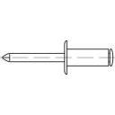 TOOLCRAFT 159976 Åben blindnitte (Ø x L) 6 mm x 10 mm Aluminium Stål 250 stk