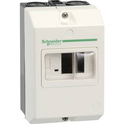 Elektrický ochranný spínač od Schneider Electric, v bielom kryte, s dvoma spínačmi, vhodný pre elektrické ochranné opatrenia.