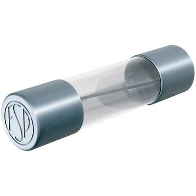Püschel Feinsicherungen FSM0,63B trubičková poistka (Ø x d) 5 mm x 20 mm 0.63 A 250 V stredne pomalý -mT- Množstvo 10 ks