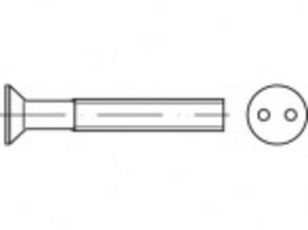TOOLCRAFT TO-5379966 bezpečnostné skrutky M6  16 mm dva otvory   88112 nerezová ocel A2 100 ks