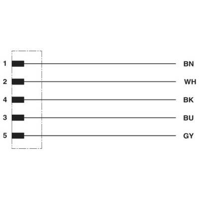 Diagram zobrazuje päť vodorovných línií, pričom každá línia je prepojená s obdĺžnikom, ktorý je označený ako BN, WH, BK, BU, GY.