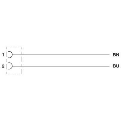 '1' a '2' sú prepojené súvislými čiarami označenými ako 'BN' a 'BU'. Diagram znázorňuje svorky pripojenia.