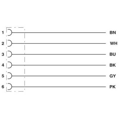 Diagram so šiestimi paralelným čiarami, ktoré začínajú pri kruhoch. Čiary sú očíslované od 1 do 6 a označené skratkami BN, WH, BU, BK, GY, PK.