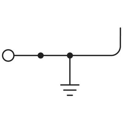 Elektrický schematický symbol pre uzemňovacie zapojenie so symbolom uzemnenia, dvoma uzlami a výstupným vedením.