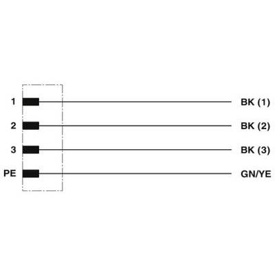 Diagram znázorňuje svorkovnicu s označeniami 1, 2, 3, PE a farbami: BK (1), BK (2), BK (3), GN/YE.