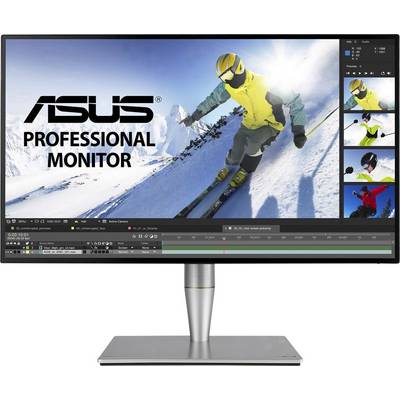 Monitor zobrazuje lyžiara na zasneženom zjazdovom svahu. Vľavo je logo ASUS a text 'Profesionálny monitor'.