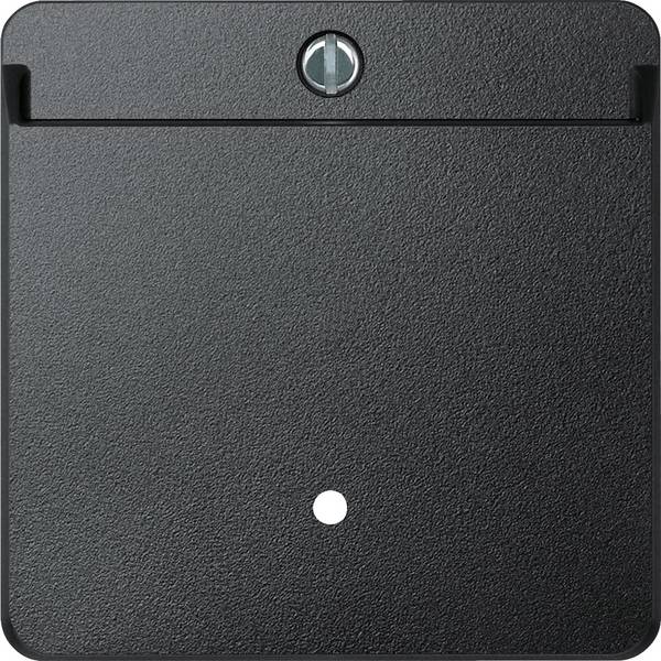 Merten   kryt System M antracitová 315414