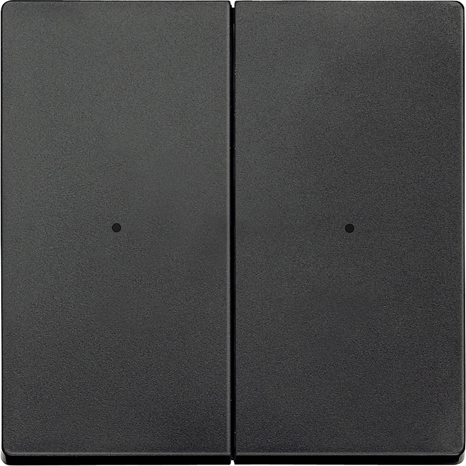 Merten Placca di copertura Interruttori in serie, Pulsanti in serie Antracite MEG5220-0414 1 pz.