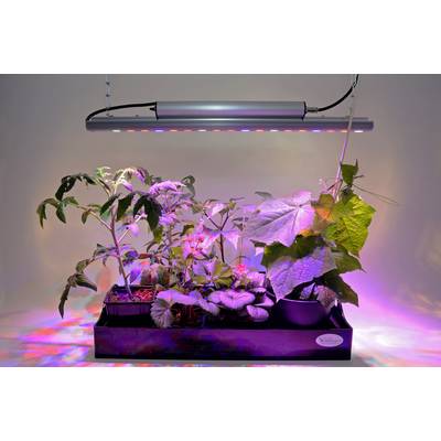 Venso LED lampa pre rast rastlín  65 cm 230 V pevne zabudované LED osvetlenie 35 W  RGBW   1 ks