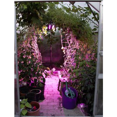 Venso LED lampa pre rast rastlín  65 cm 230 V pevne zabudované LED osvetlenie 60 W  RGBW   1 ks