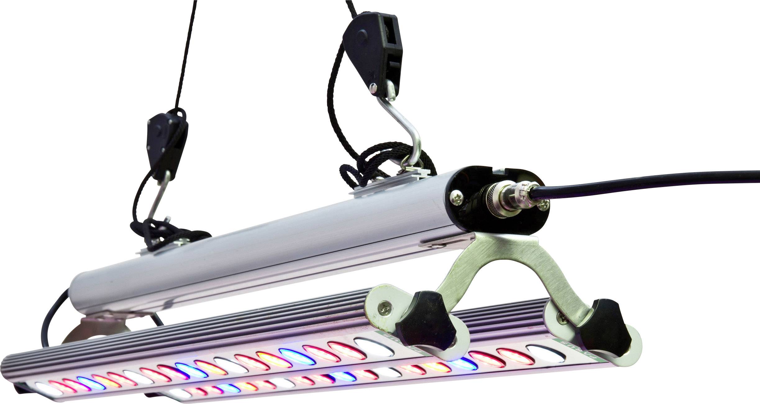 LED-rastová lampa s farebnými svetlami, zavesená na kábli. Používaná pre rast rastlín v interiéri.