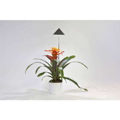 Venso LED lampa na rastliny SUNLiTE   pevne zabudované LED osvetlenie 7 W  neutrálna biela   1 ks