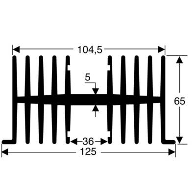 Čiernobiely diagram technického profilu s celkovo ôsmimi rebrami. Šírka 125 mm, výška 65 mm, vzdialenosť rebier 5 mm.
