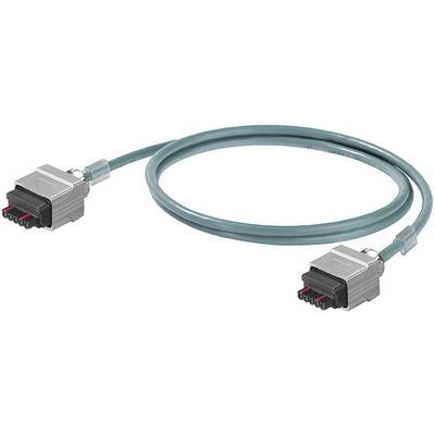 Zelený ethernetový kábel s dvoma konektormi na koncoch, používaný pre sieťové pripojenia.
