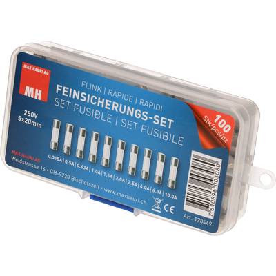 Max Hauri sada trubičkových poistiek (Ø x d) 5 mm x 20 mm rýchly -F- Množstvo 100 ks